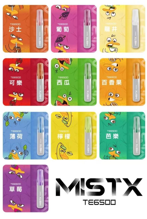 MISTX米斯特拋棄式6500口🪄鴨嘴獸天花板🔋泰瑞包裝敲可愛(任選10隻送一隻口味請備註)